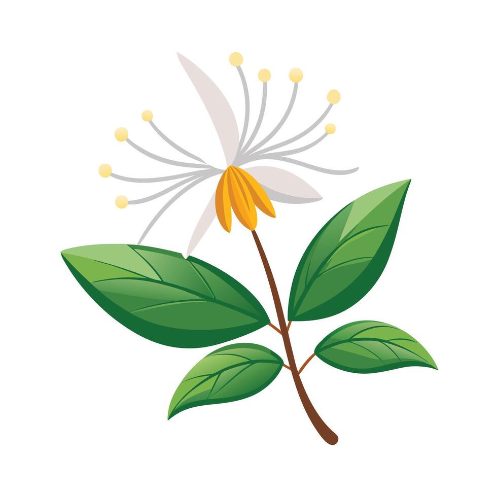 Beautiful Flower Minimalist Floral Illustration vector