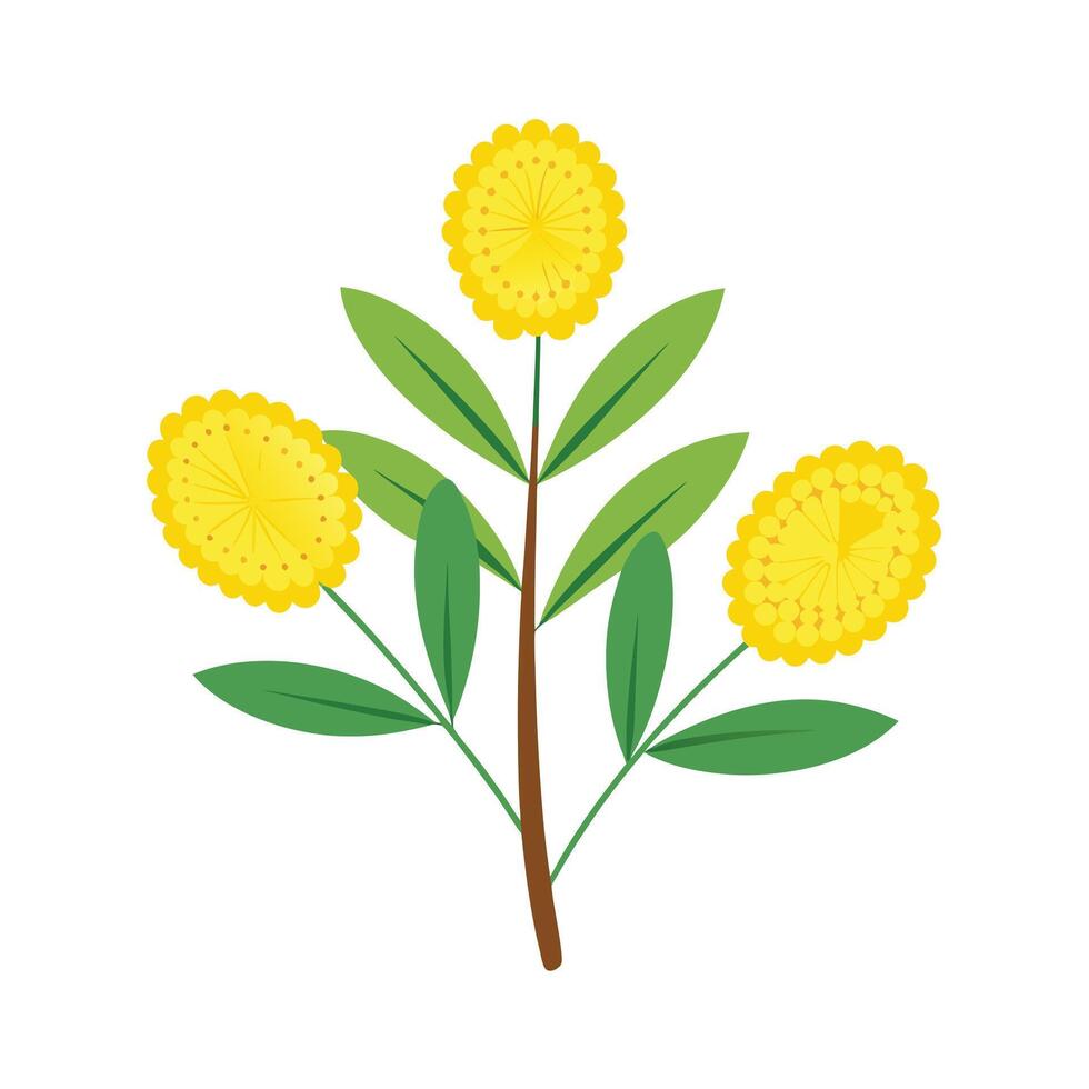 Beautiful Flower Minimalist Floral Illustration vector