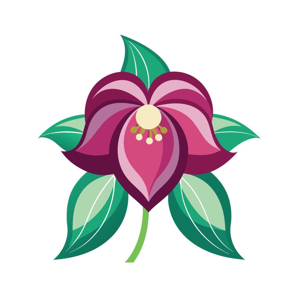 Beautiful Flower Minimalist Floral Illustration vector