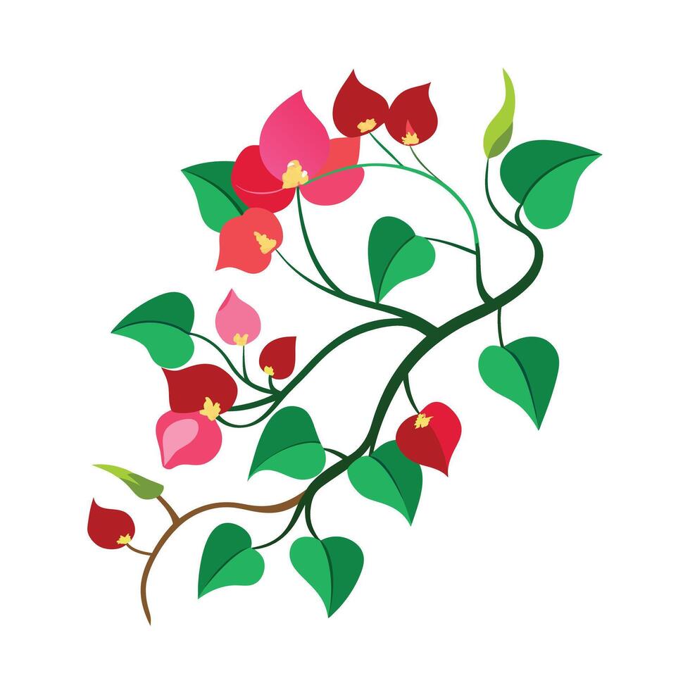 Beautiful Flower Minimalist Floral Illustration vector