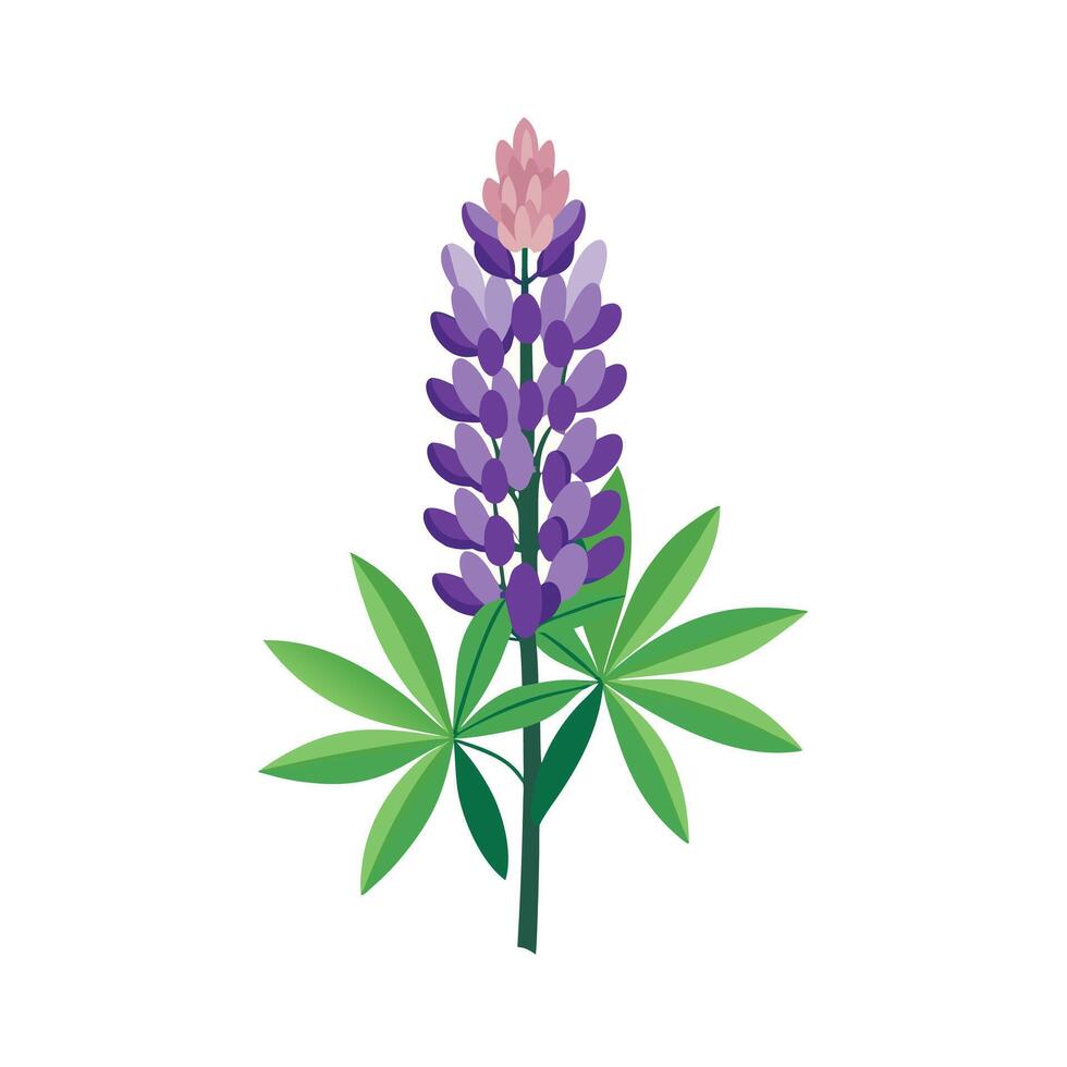 Beautiful Flower Minimalist Floral Illustration vector
