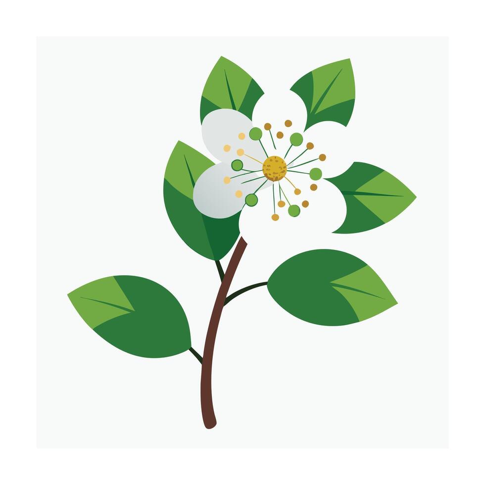 Beautiful Flower Minimalist Floral Illustration vector