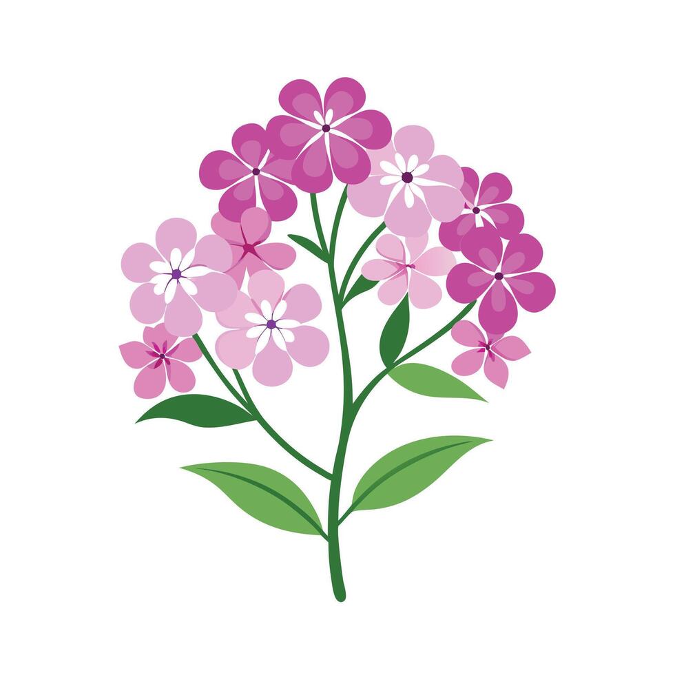 Beautiful Flower Minimalist Floral Illustration vector