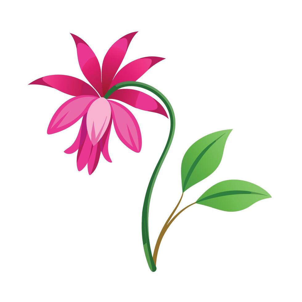 Beautiful Flower Minimalist Floral Illustration vector