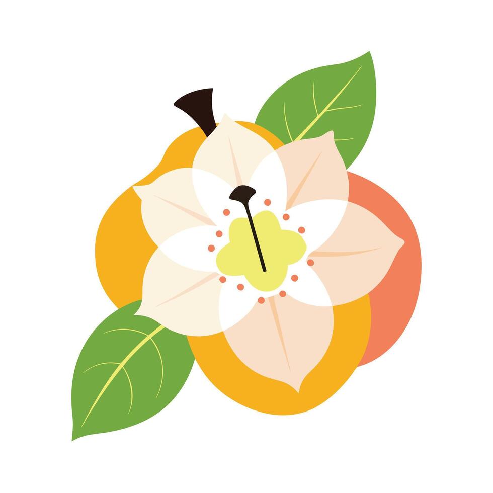 Beautiful Flower Minimalist Floral Illustration vector