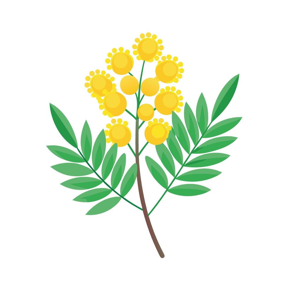 Beautiful Flower Minimalist Floral Illustration vector