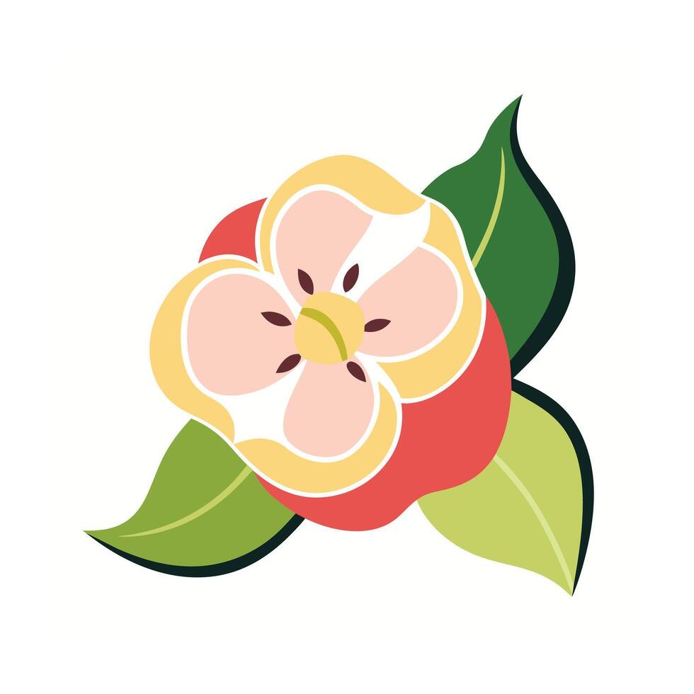 Beautiful Flower Minimalist Floral Illustration vector