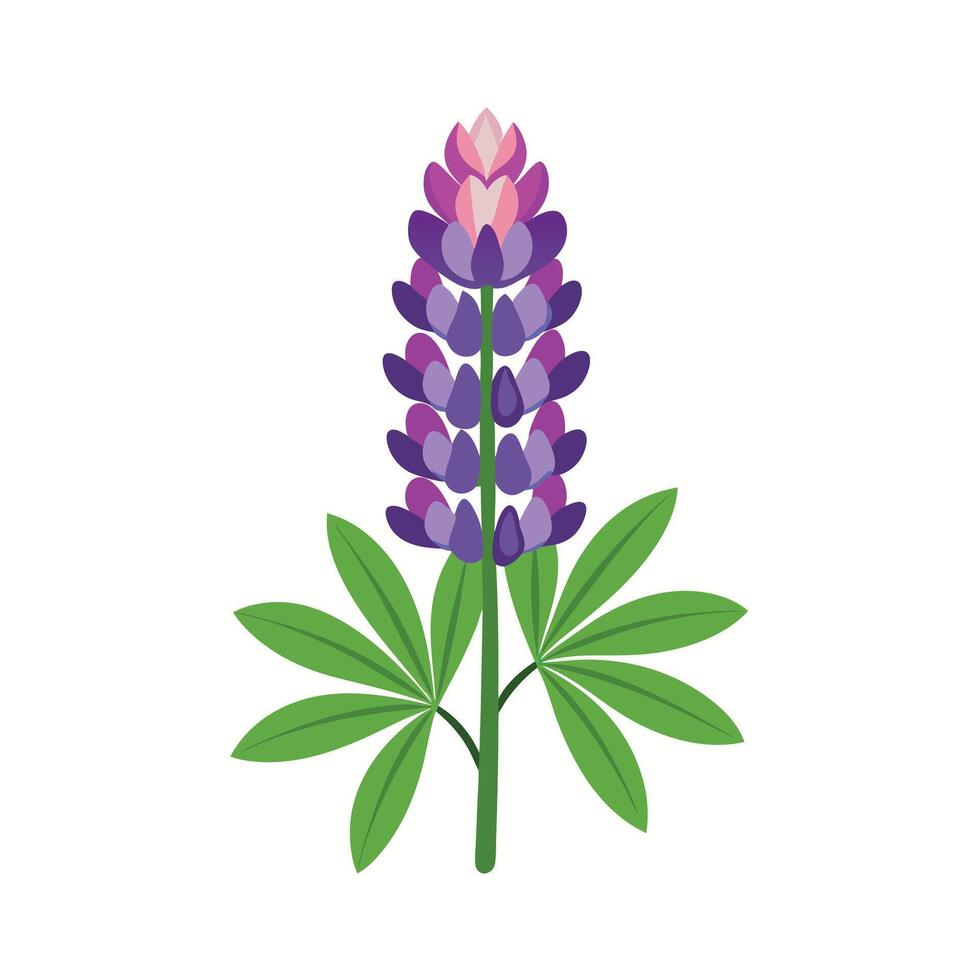 Beautiful Flower Minimalist Floral Illustration vector