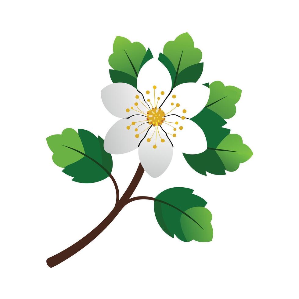 Beautiful Flower Minimalist Floral Illustration vector