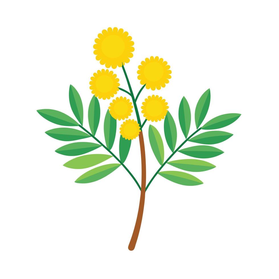 Beautiful Flower Minimalist Floral Illustration vector