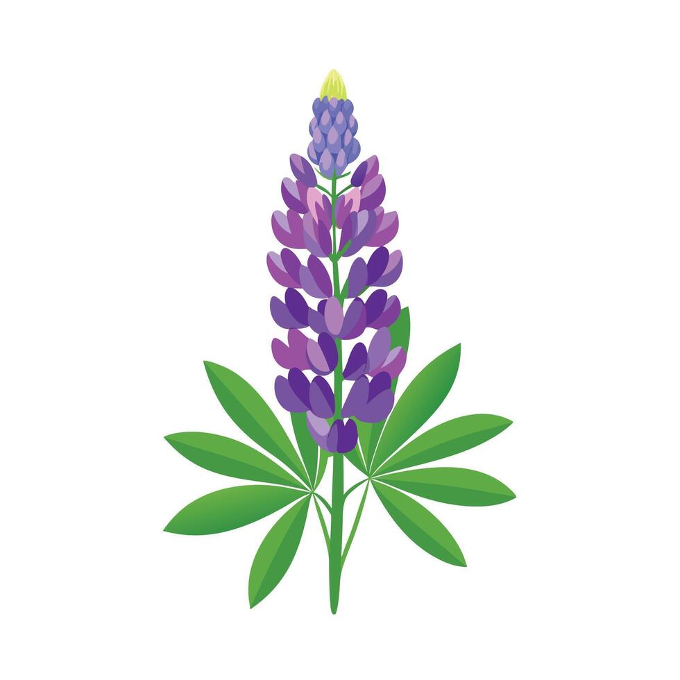 Beautiful Flower Minimalist Floral Illustration vector