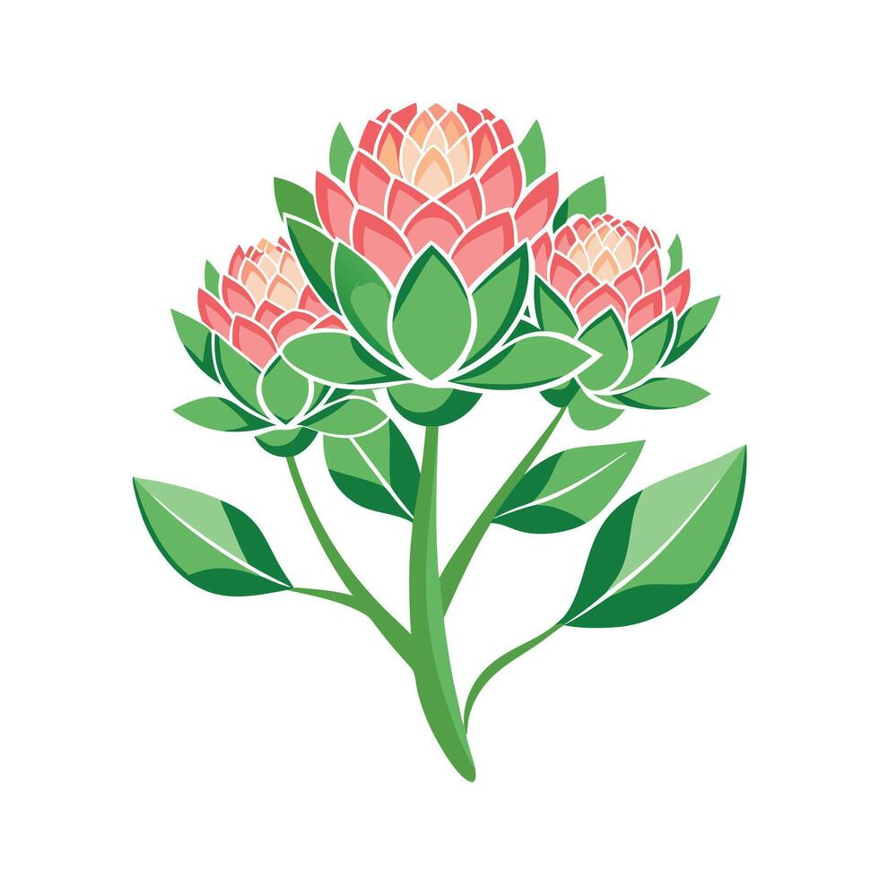 Beautiful Flower Minimalist Floral Illustration vector