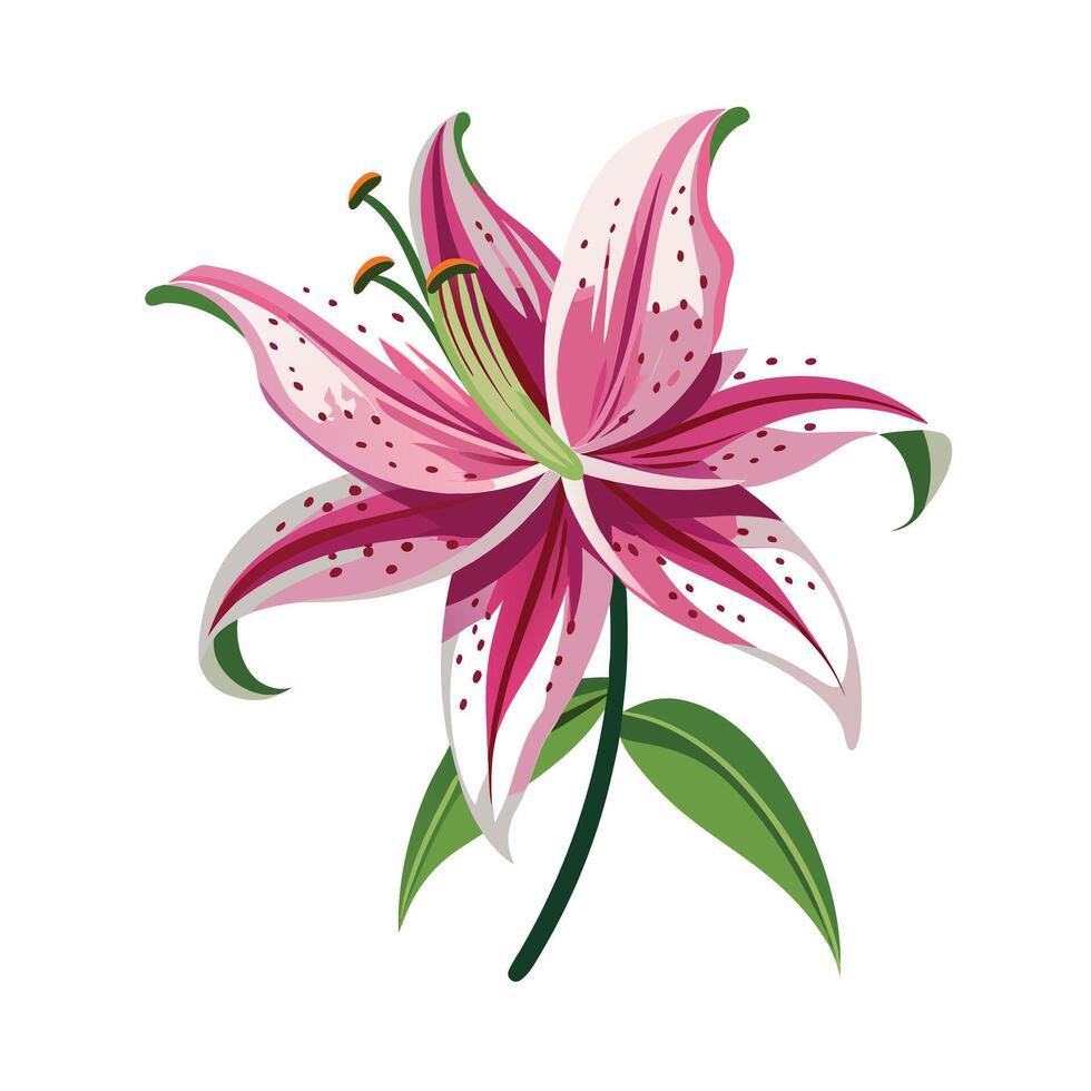 Beautiful Flower Minimalist Floral Illustration vector