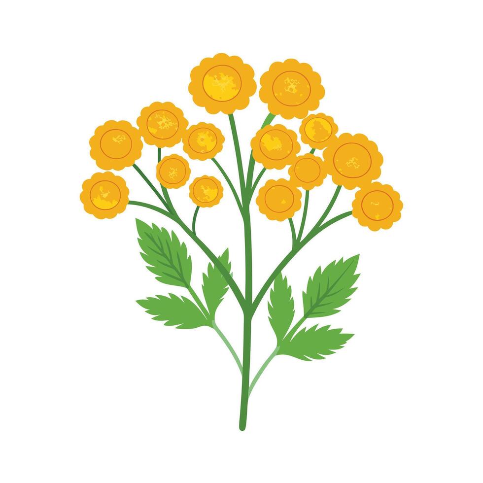 Beautiful Flower Minimalist Floral Illustration vector