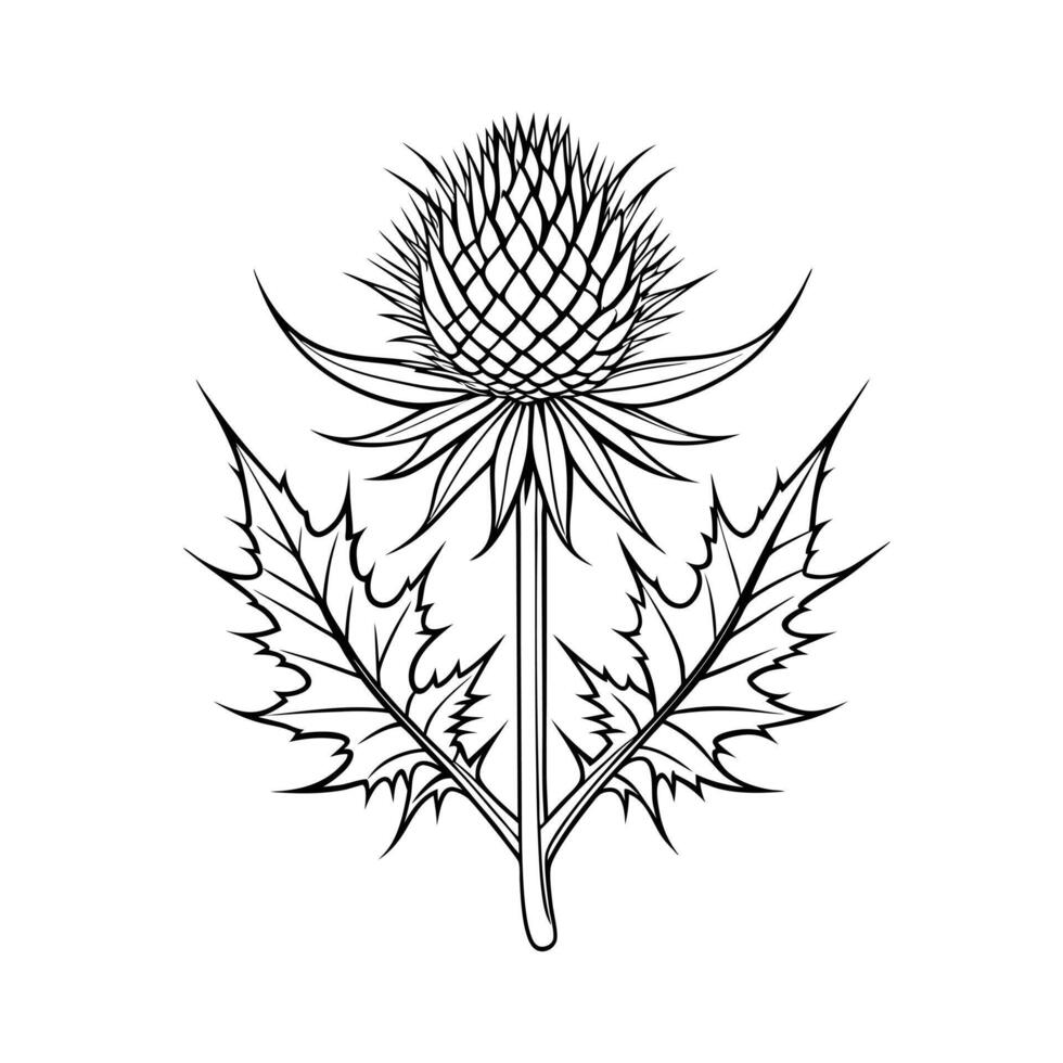 Beautiful Flower Minimalist Floral Illustration vector