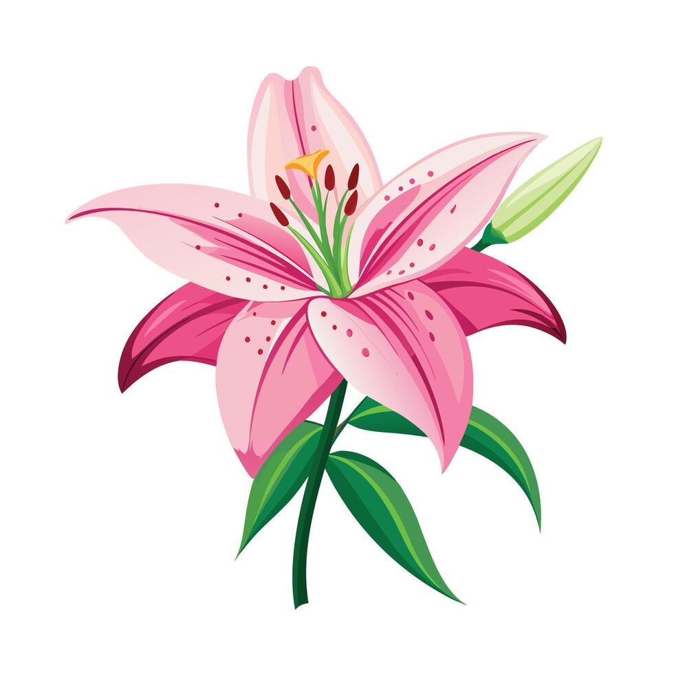 Beautiful Flower Minimalist Floral Illustration vector