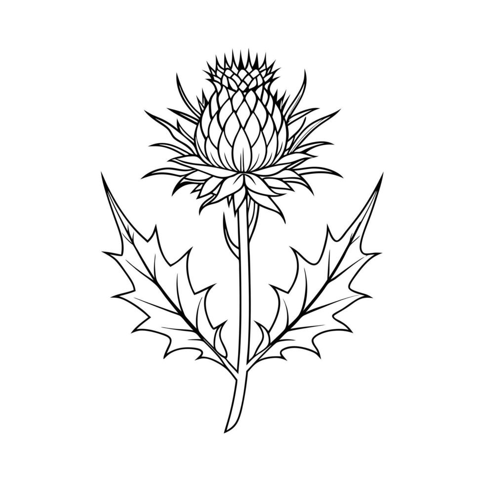 Beautiful Flower Minimalist Floral Illustration vector