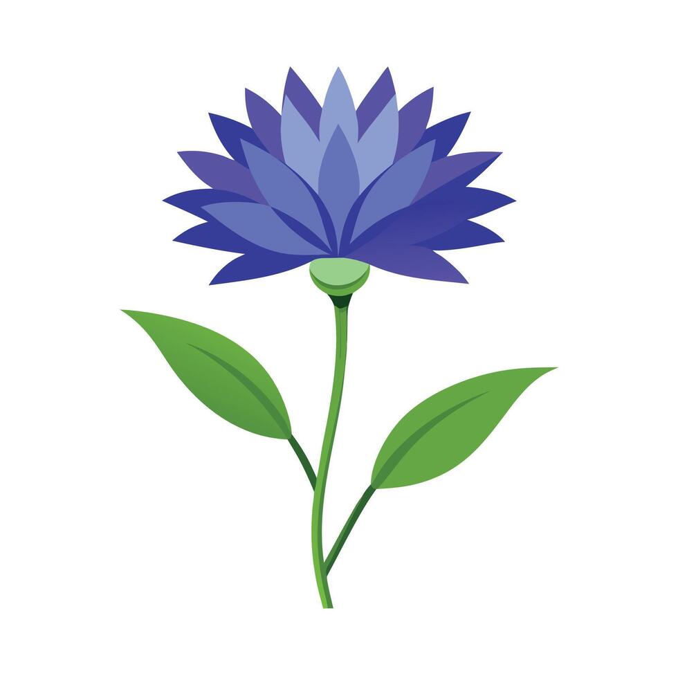 Beautiful Flower Minimalist Floral Illustration vector
