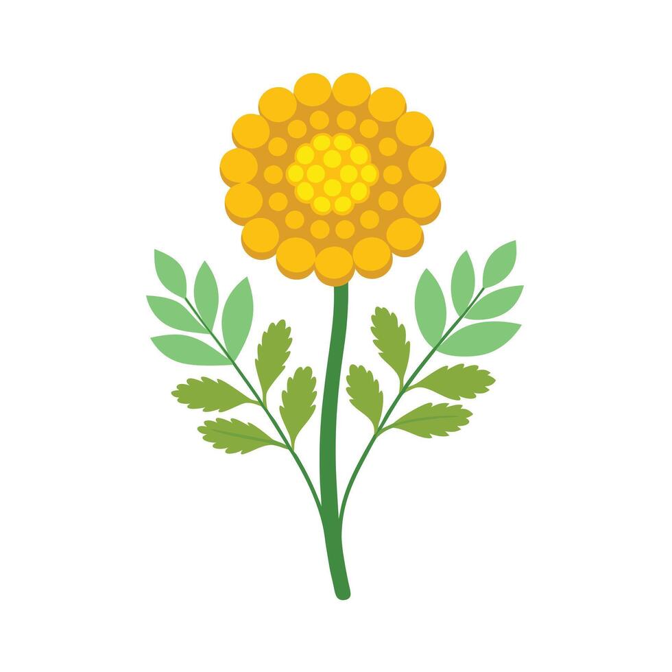 Beautiful Flower Minimalist Floral Illustration vector