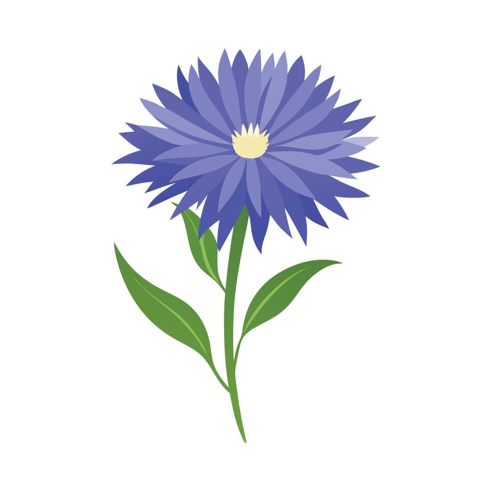 Beautiful Flower Minimalist Floral Illustration vector