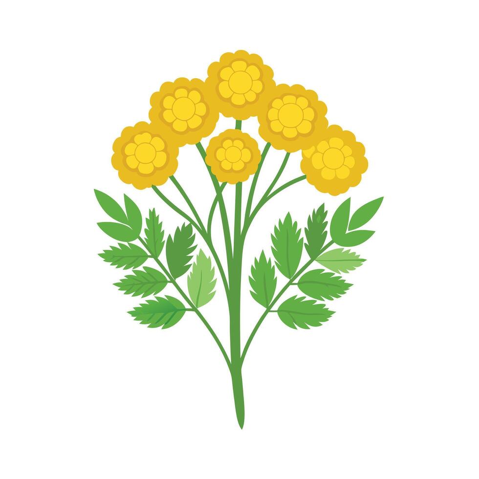 Beautiful Flower Minimalist Floral Illustration vector