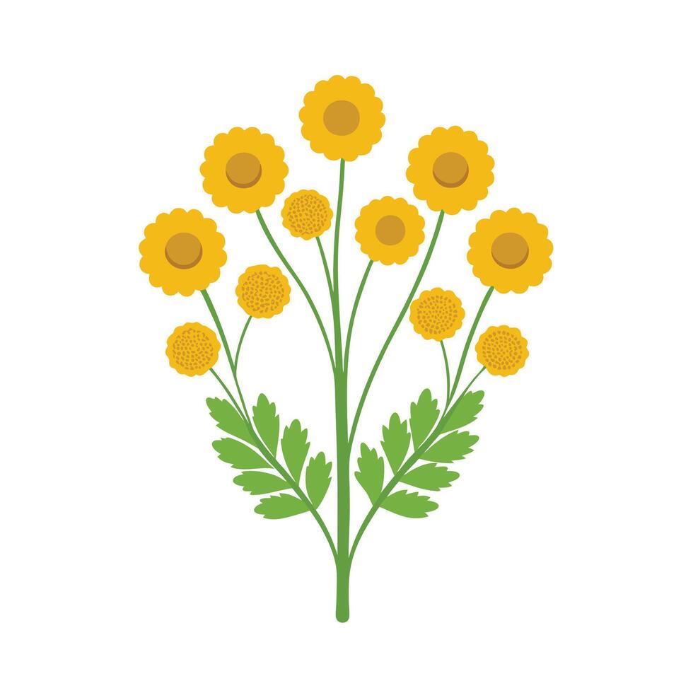 Beautiful Flower Minimalist Floral Illustration vector