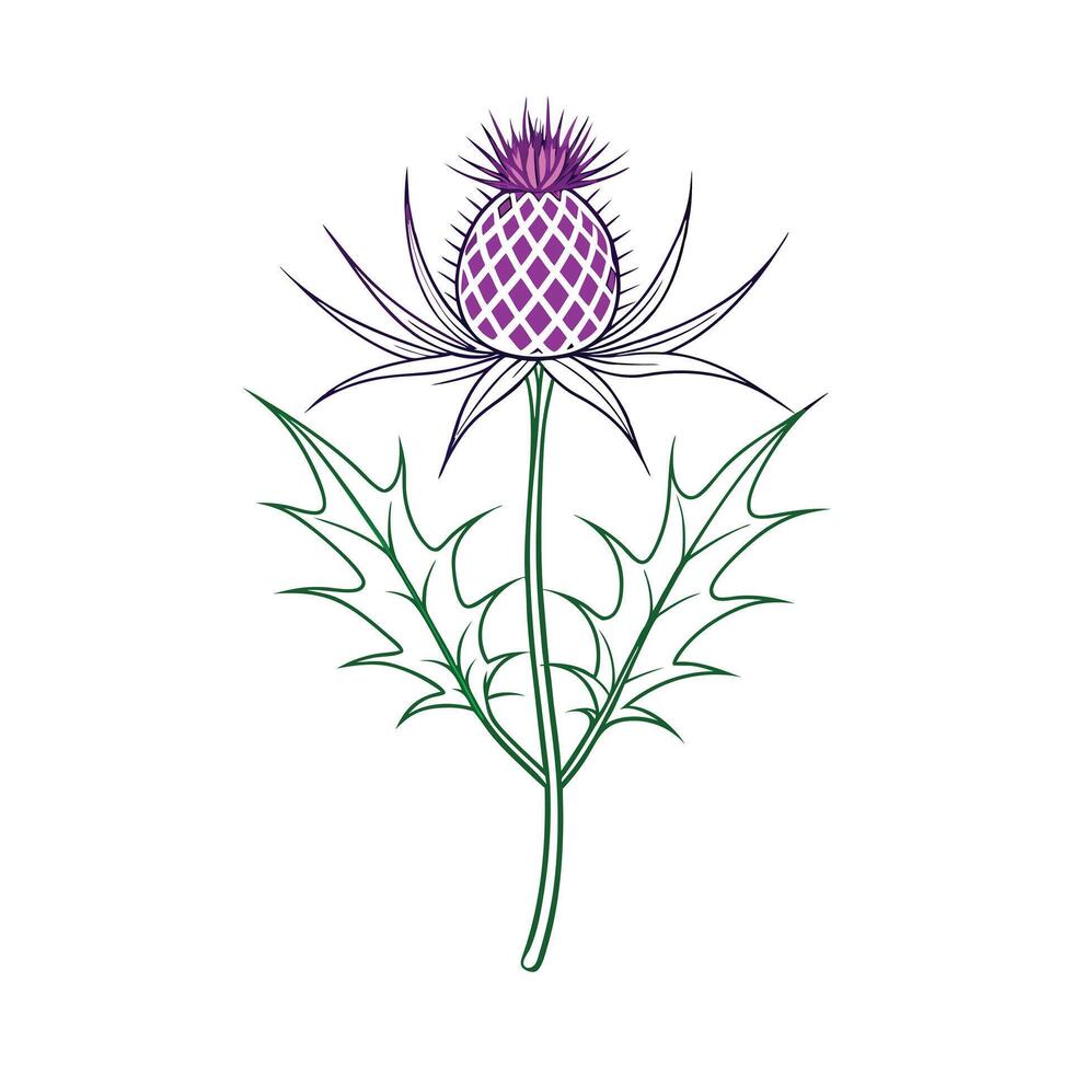Beautiful Flower Minimalist Floral Illustration vector