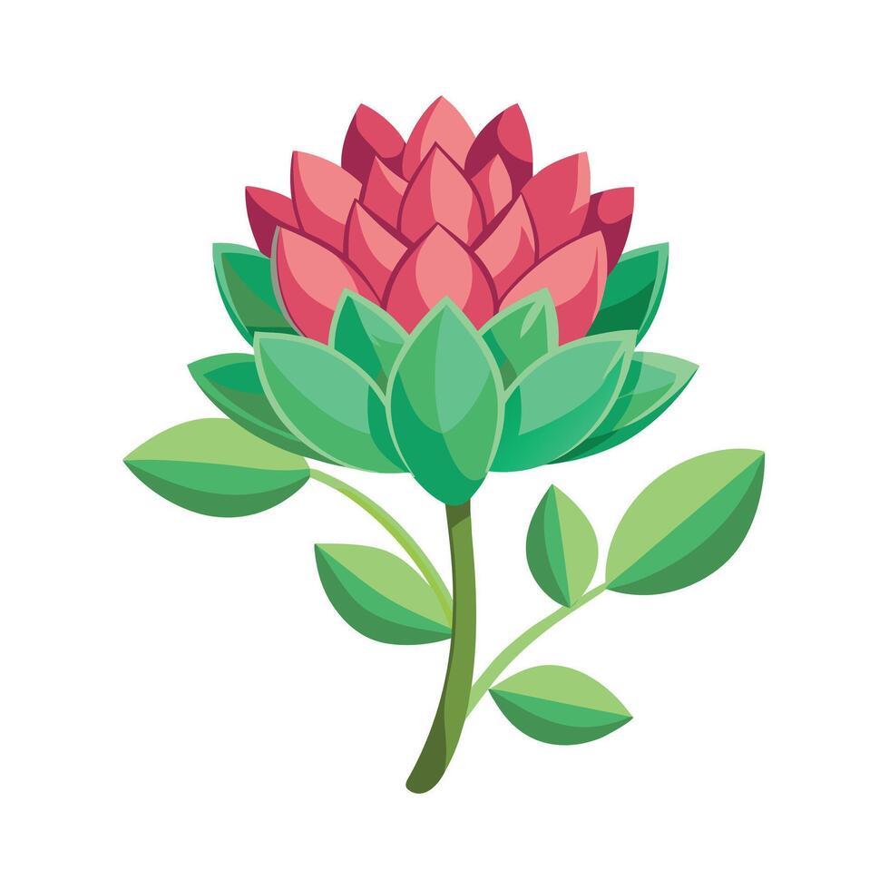Beautiful Flower Minimalist Floral Illustration vector