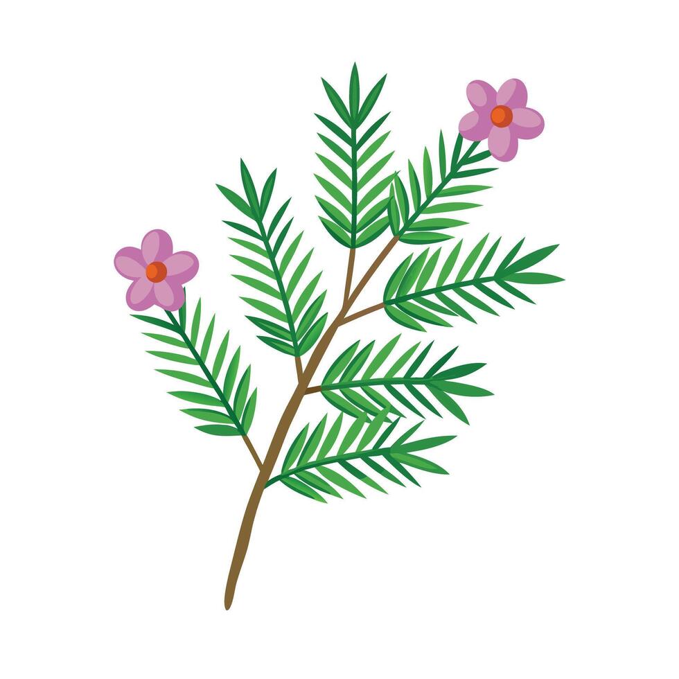 Beautiful Flower Minimalist Floral Illustration vector