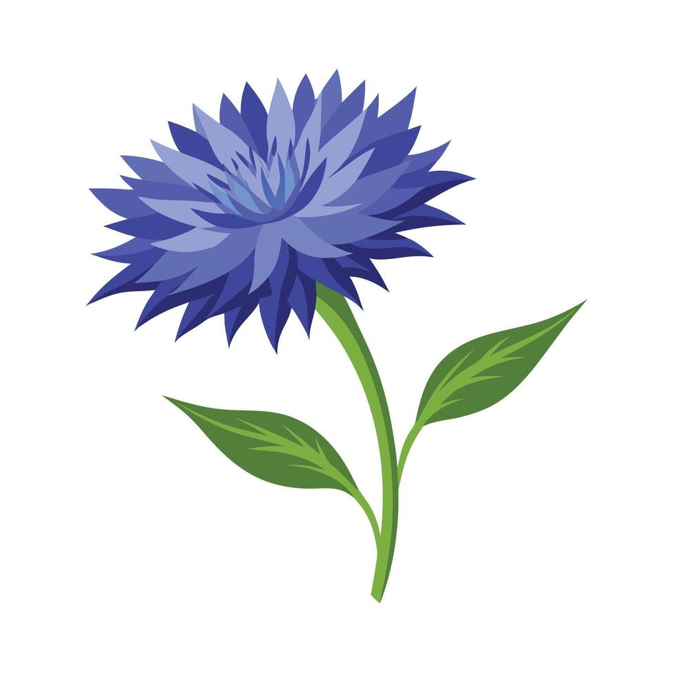 Beautiful Flower Minimalist Floral Illustration vector