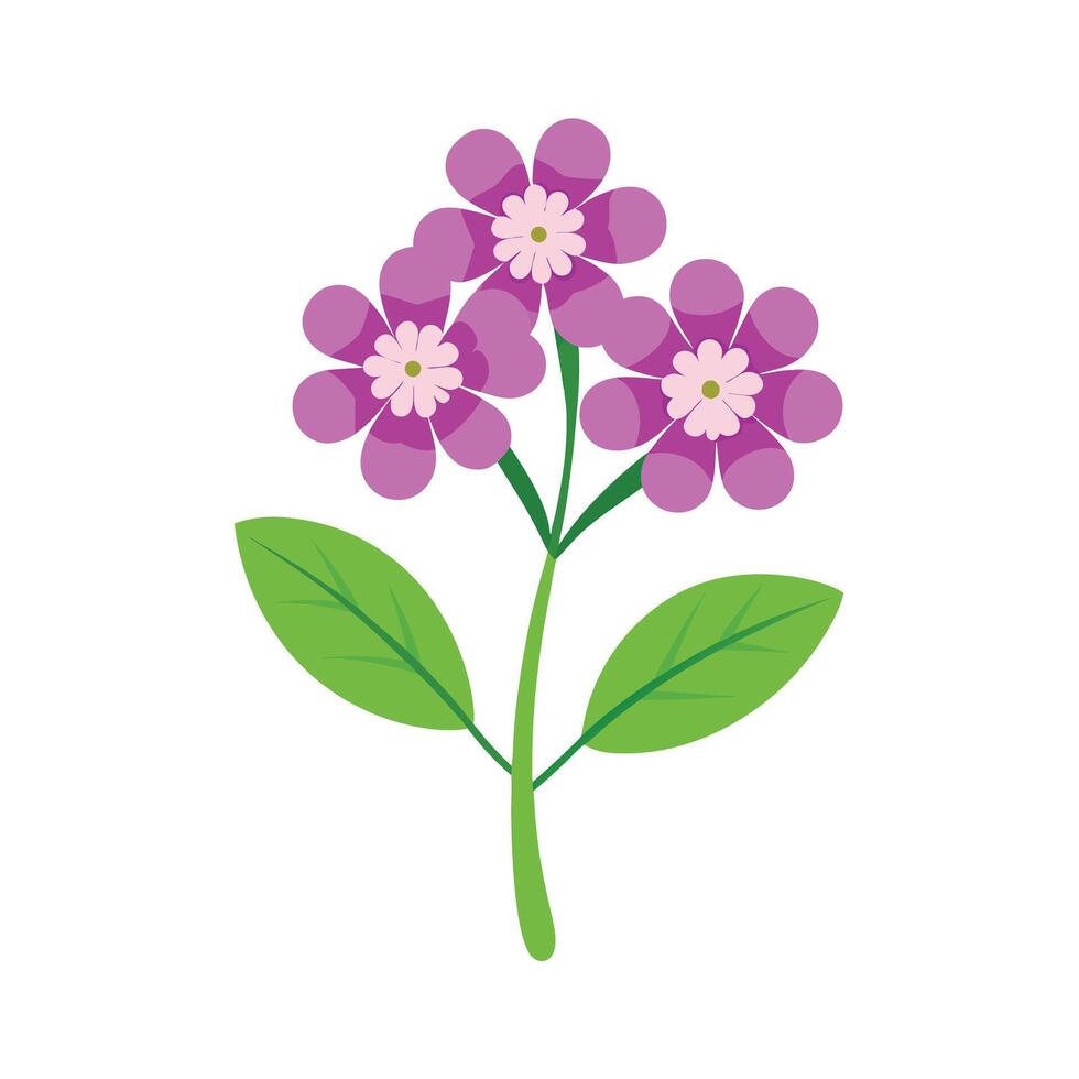 Beautiful Flower Minimalist Floral Illustration vector