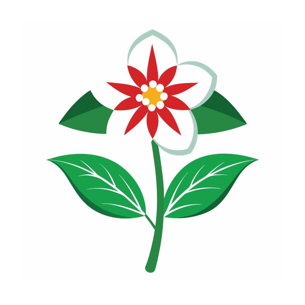 Beautiful Flower Minimalist Floral Illustration vector