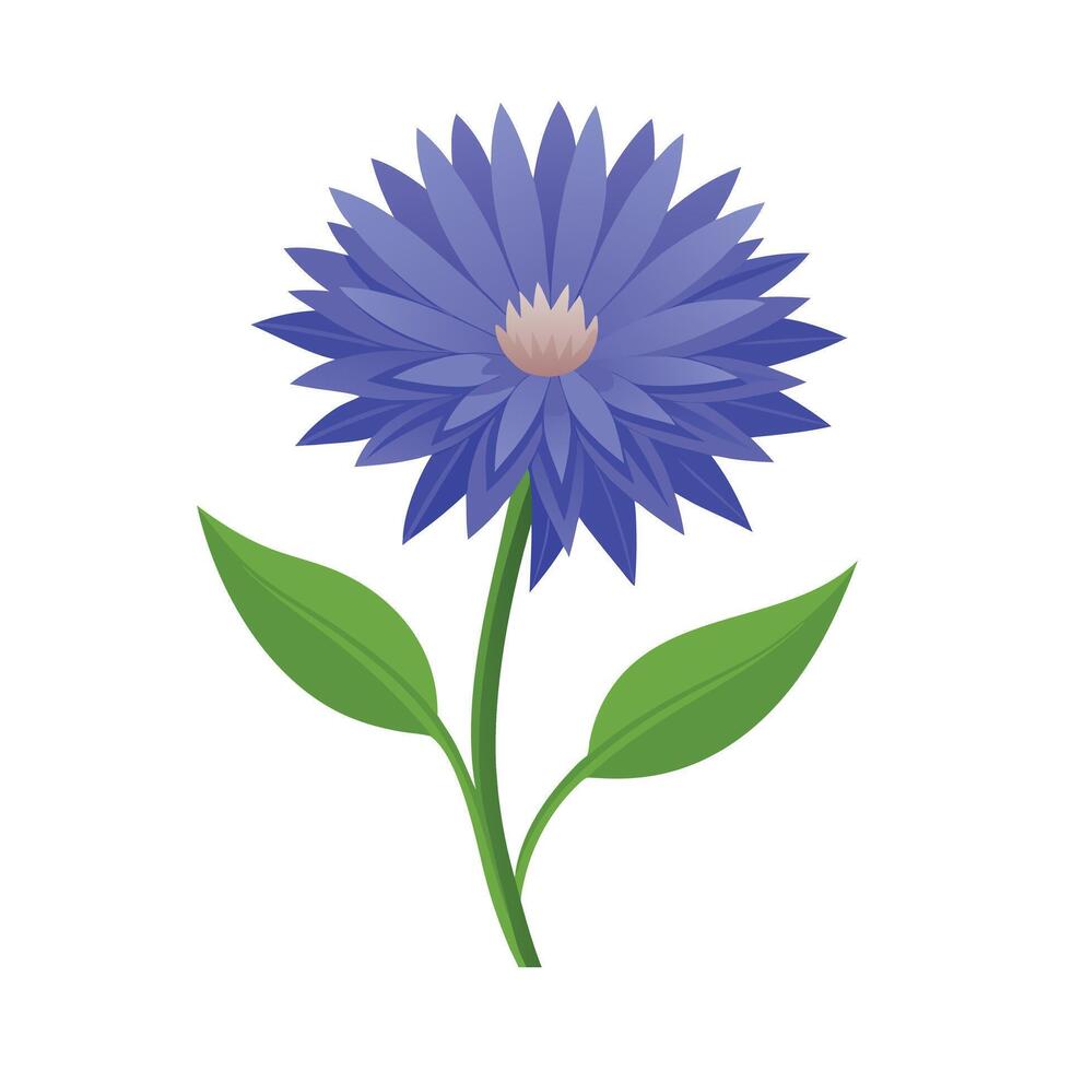 Beautiful Flower Minimalist Floral Illustration vector