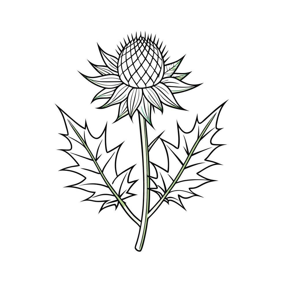 Beautiful Flower Minimalist Floral Illustration vector