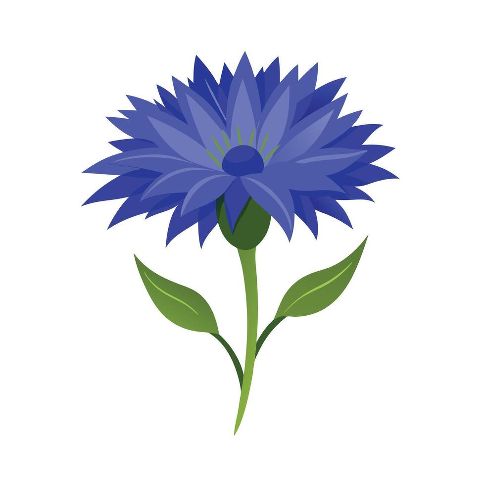 Beautiful Flower Minimalist Floral Illustration vector