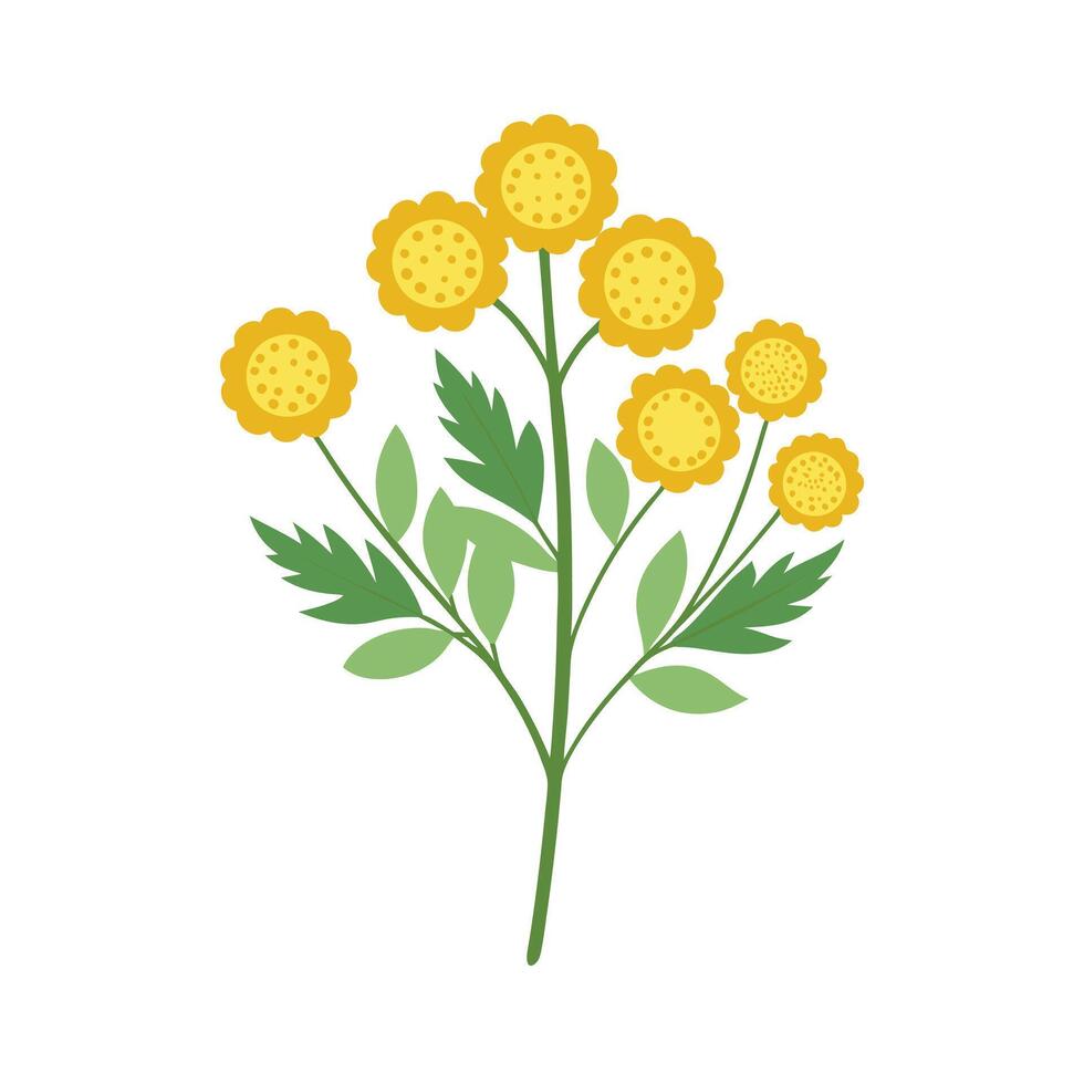Beautiful Flower Minimalist Floral Illustration vector