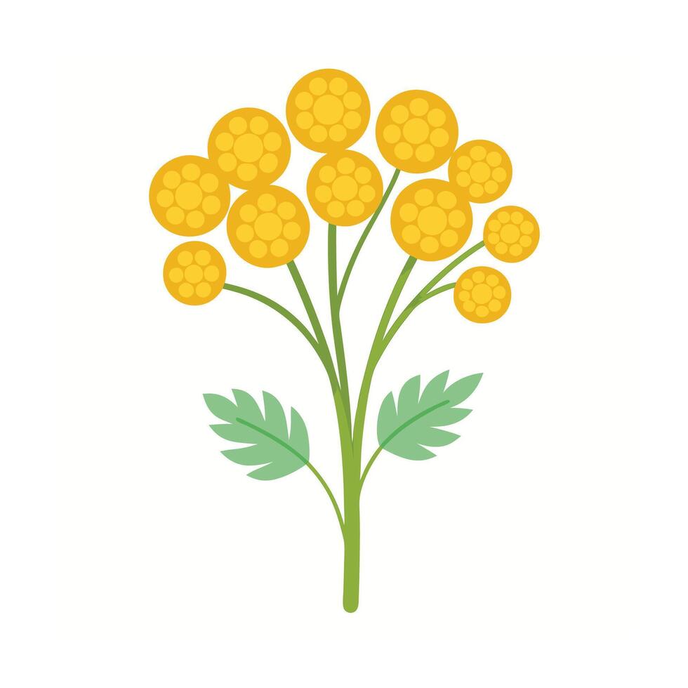 Beautiful Flower Minimalist Floral Illustration vector