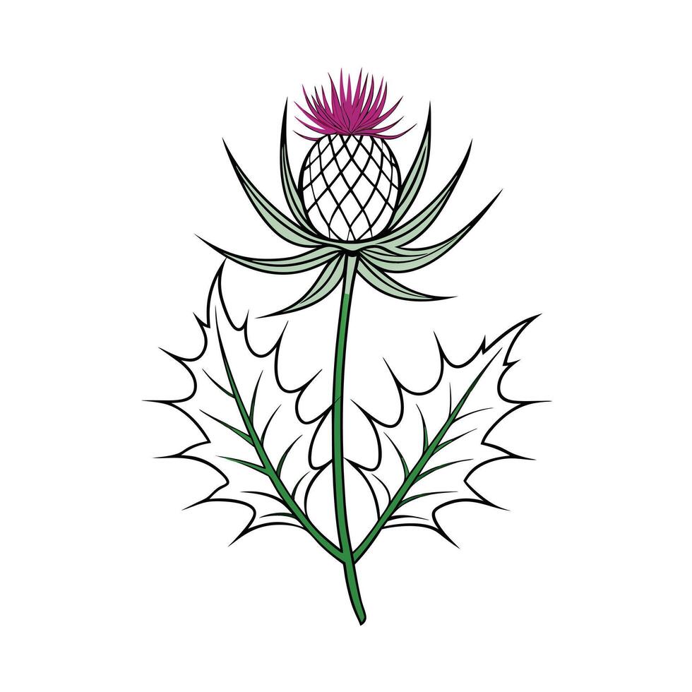 Beautiful Flower Minimalist Floral Illustration vector