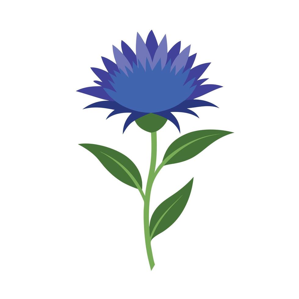 Beautiful Flower Minimalist Floral Illustration vector
