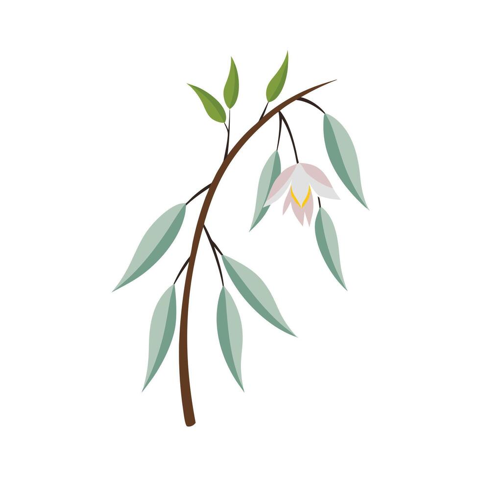 Beautiful Flower Minimalist Floral Illustration vector