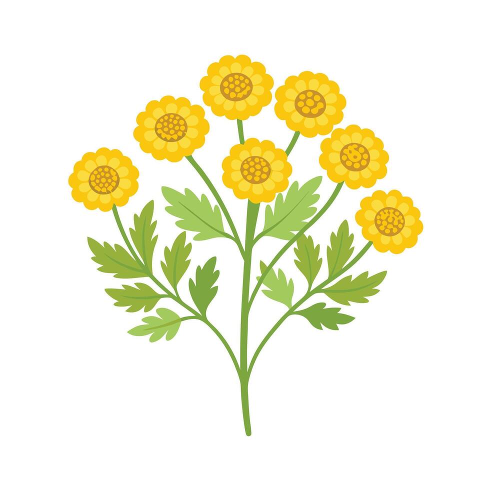 Beautiful Flower Minimalist Floral Illustration vector