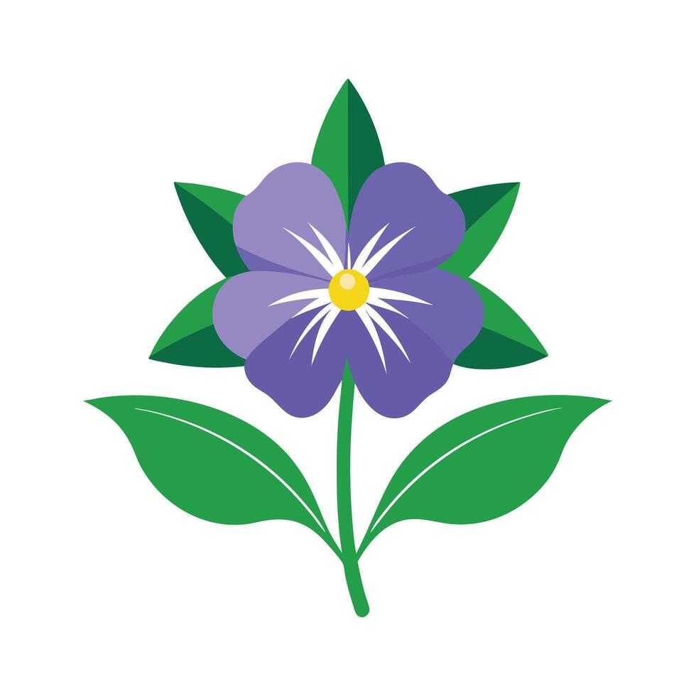 Beautiful Flower Minimalist Floral Illustration vector