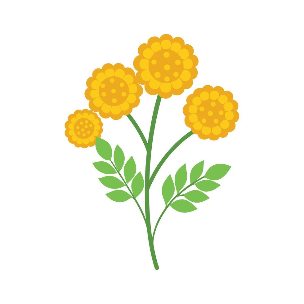 Beautiful Flower Minimalist Floral Illustration vector