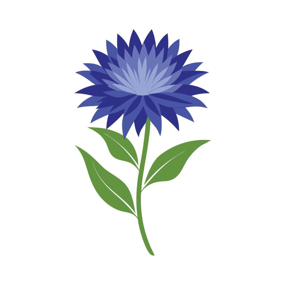 Beautiful Flower Minimalist Floral Illustration vector