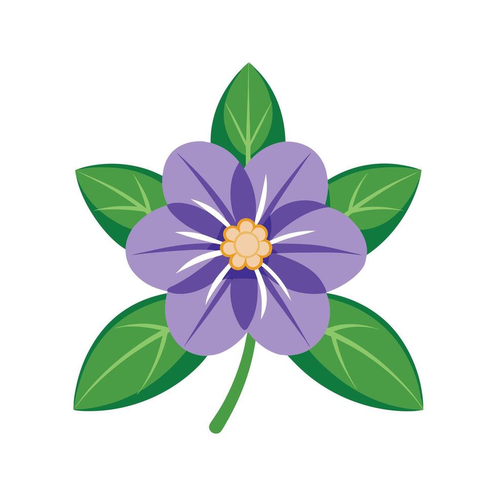 Beautiful Flower Minimalist Floral Illustration vector