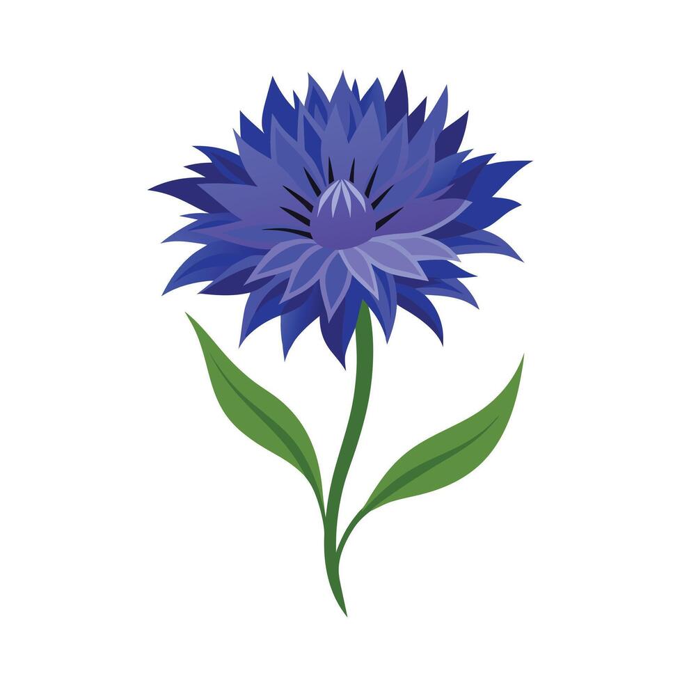 Beautiful Flower Minimalist Floral Illustration vector