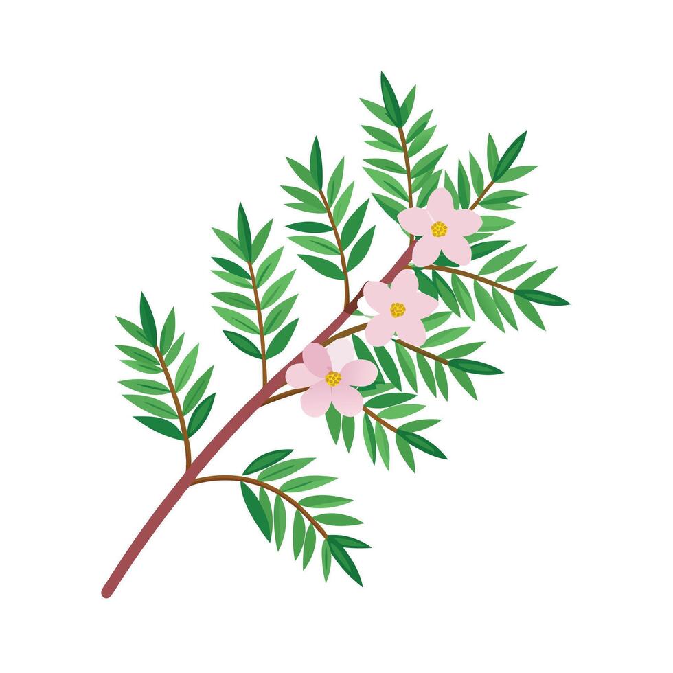 Beautiful Flower Minimalist Floral Illustration vector