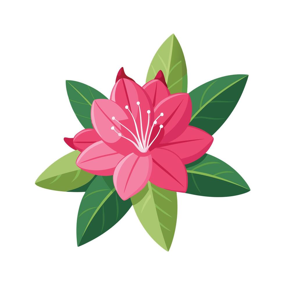 Beautiful Flower Minimalist Floral Illustration vector