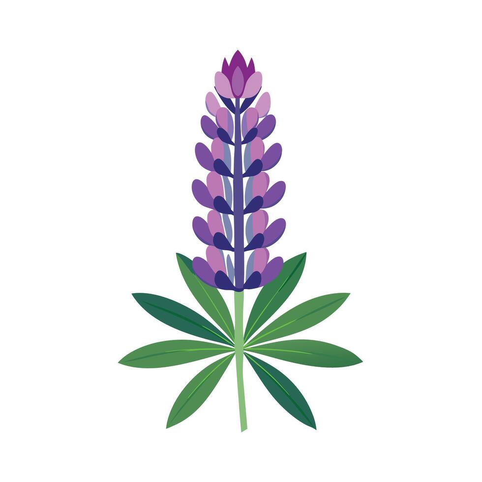 Beautiful Flower Minimalist Floral Illustration vector