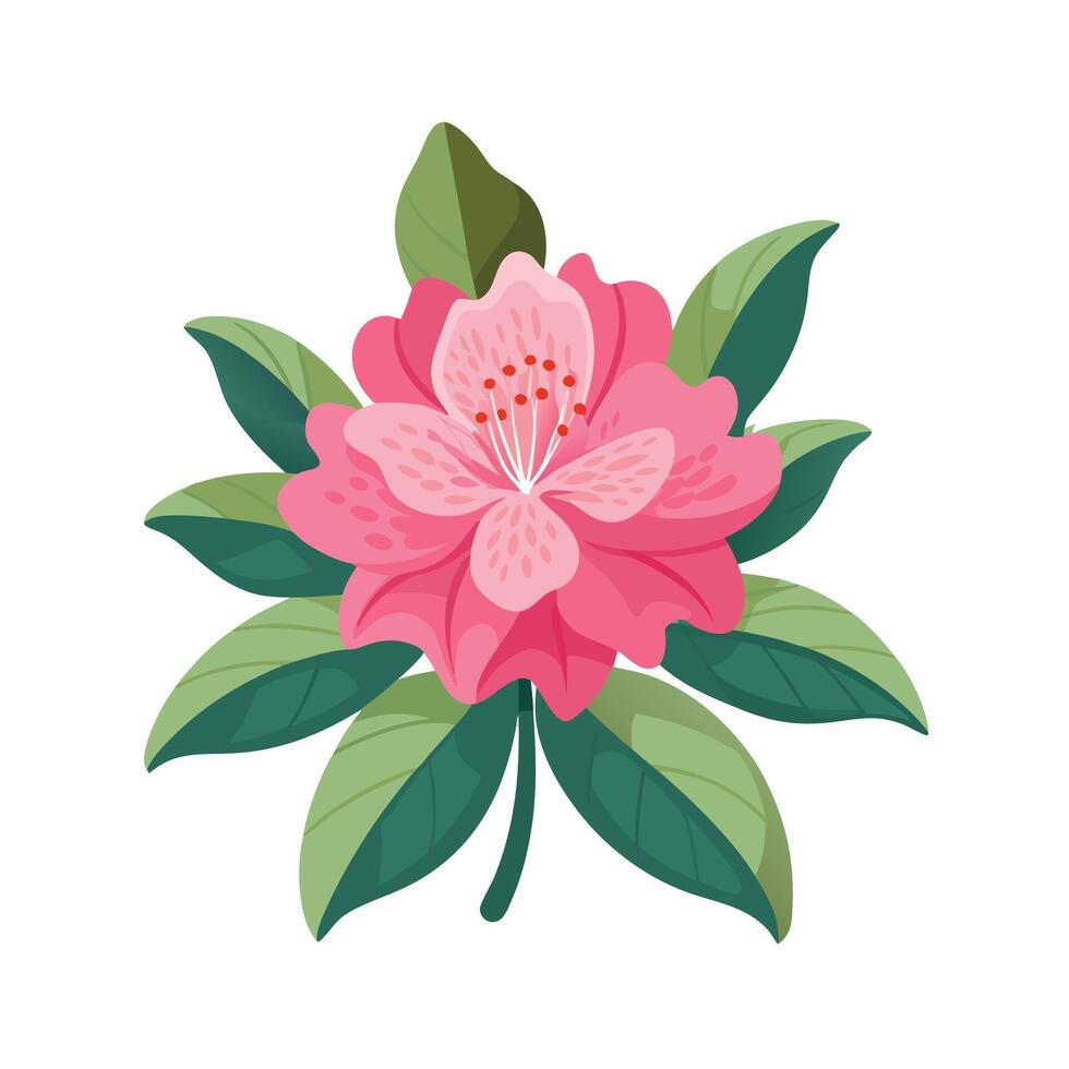 Beautiful Flower Minimalist Floral Illustration vector